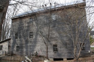 IMG_0519