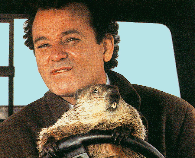 groundhog day with bill murray newsflash may not be human the family shrubbery groundhog day with bill murray newsflash may not be human the family shrubbery